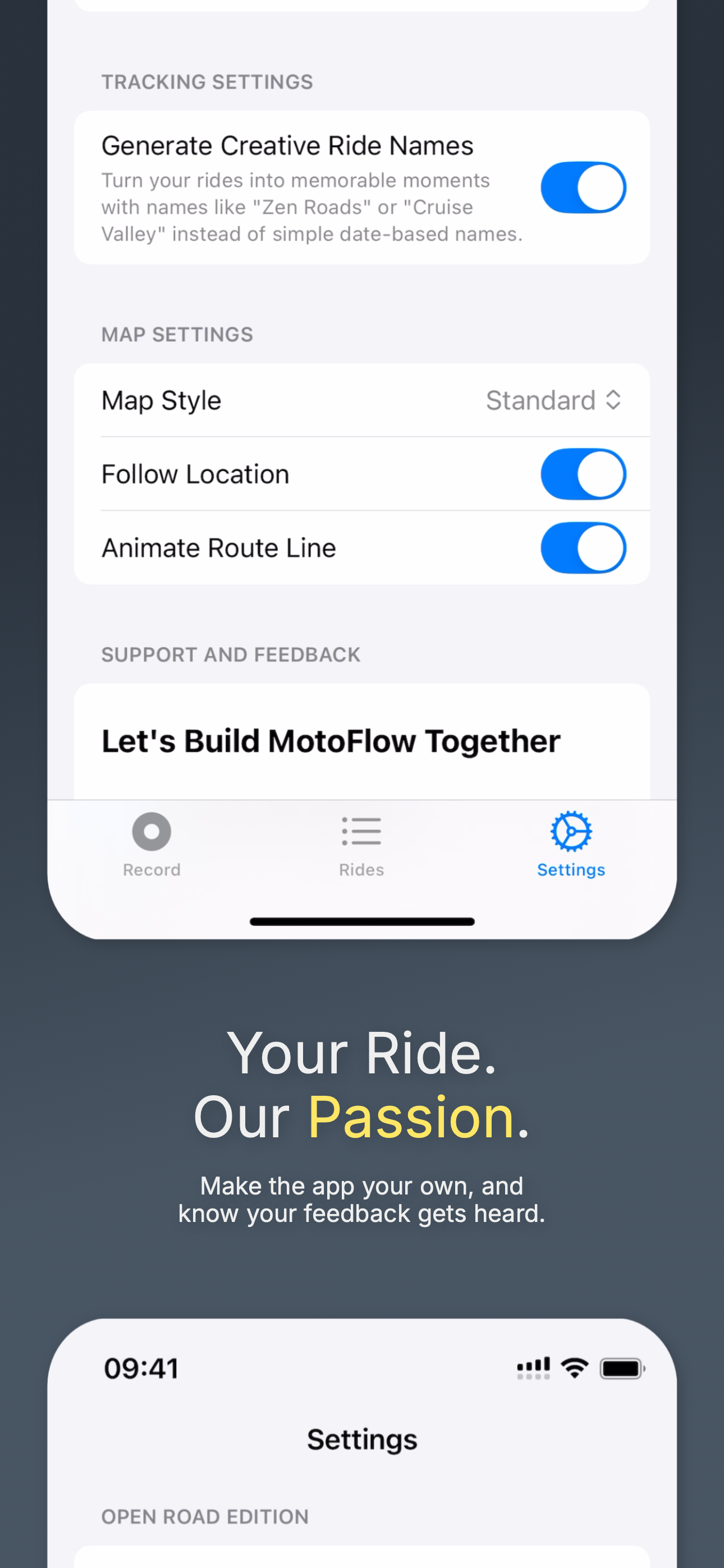 iPhone map styles